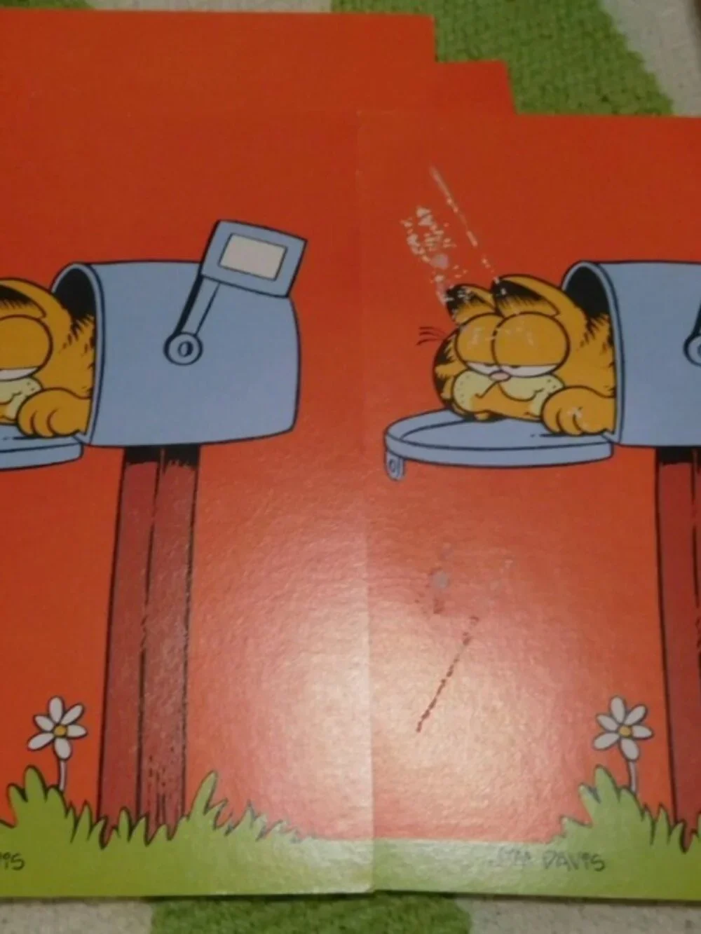 Garfield vintage finds